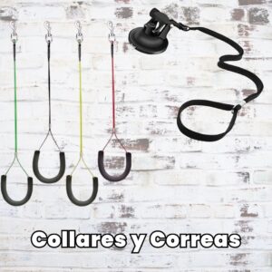 Collares y Correas